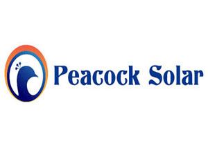 peacock-solar